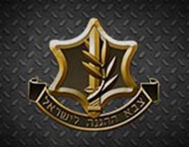IDF Insignia